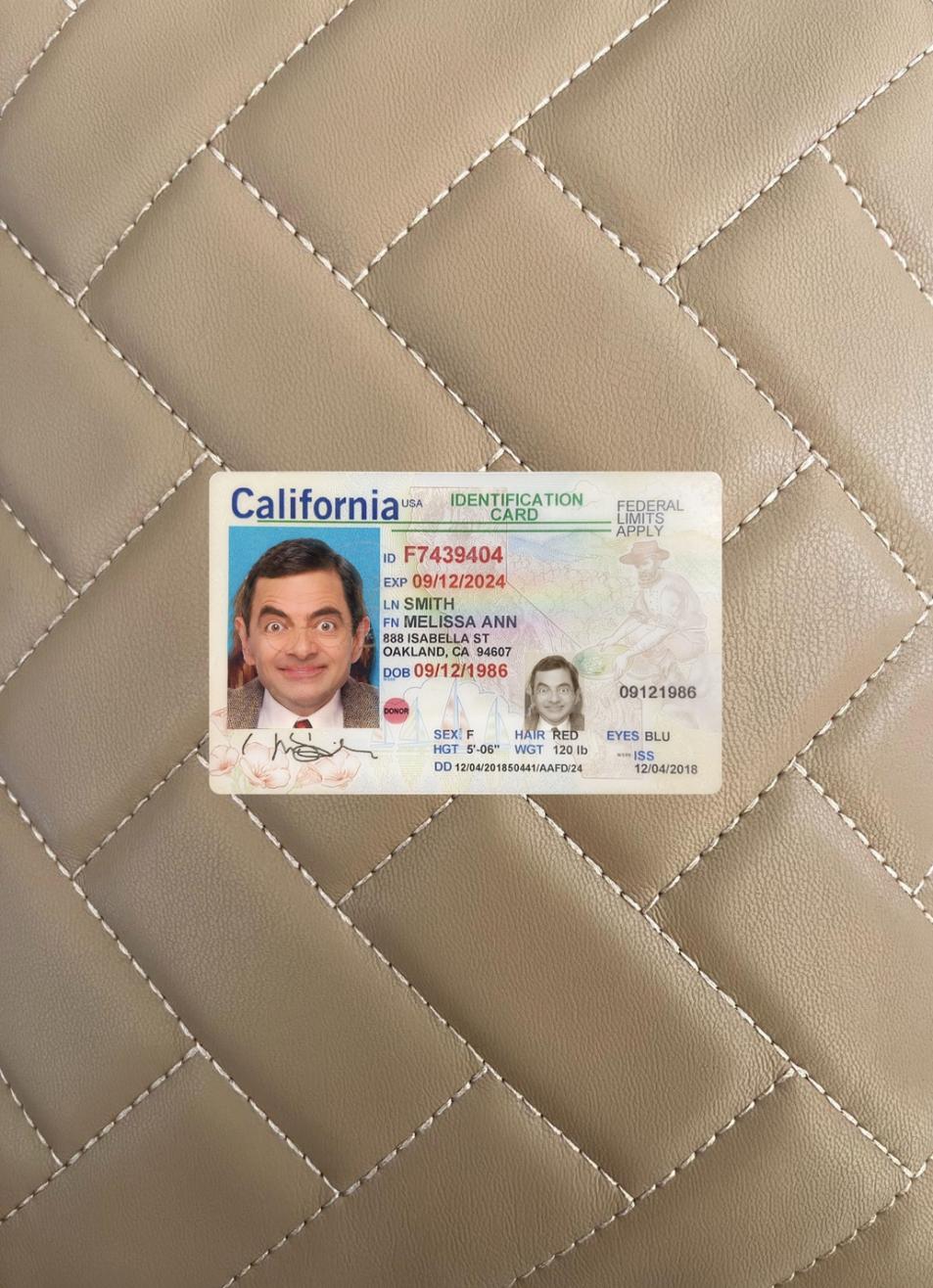 Downloadable USA California ID card photolook download for verification